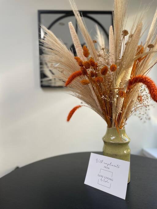 New Luxury For 2024 - Central Plymouth House - Sleeps 10 - Access To Plymouth Town - Close To The Barbican - Pets Welcome - Parking Available - By Luxe Living By Sophia エクステリア 写真