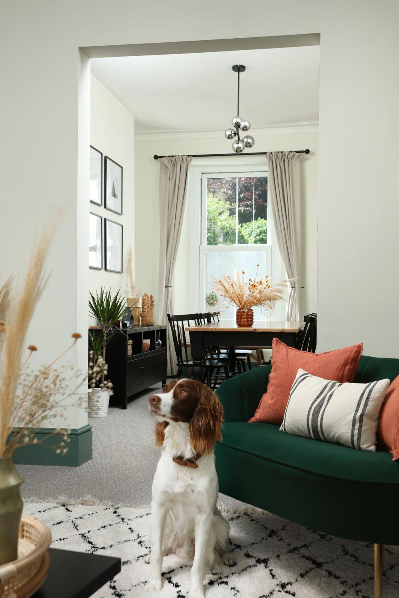 New Luxury For 2024 - Central Plymouth House - Sleeps 10 - Access To Plymouth Town - Close To The Barbican - Pets Welcome - Parking Available - By Luxe Living By Sophia エクステリア 写真